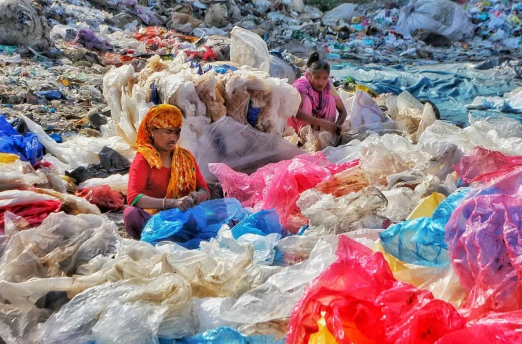 Plastic Waste Collection